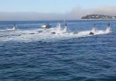 Flyboard Gösterisi!!