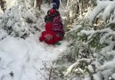 Forestkids Enjoying the Woods