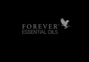 Forever Essential Oils! Yepyeni ürünlerimiz satışta... Denemeyi unutmayınız :) #essentialoils #newproducts