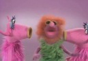 Forever Music - Muppet Show - Mahna Mahna - Original Facebook