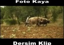 FOTO KAYA'NIN DERSİM KLİBİ