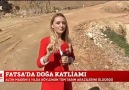 FOX Haber - Fatsada doğa katliamı... Altın madeni 5...