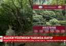 FOX TV FATSA&SİYANÜRLE ALTIN... - Fatsa son dakika haber