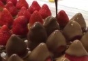 Fraises au chocolat