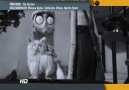 "Frankenweenie", Tivibu'da!