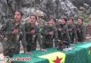 Freiheitskmpfer YPG YPJ le 12 fvrier 2016