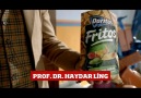 Fritos ne demek?