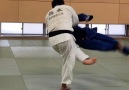 From kouchi gari to deashi barai ( with... - JUDO MANIA JAPAN