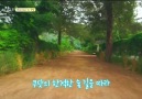 [FULL HD] 160923 tvN Eat, Sleep, Eat Ep. 1 - Onew cut
