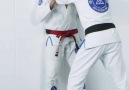 Fundamental techniques by Rickson Gracie - Kimonos Brazilian Jiu Jitsu