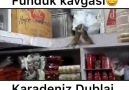 Funduk kavgası