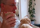 Funniest Family Moments - Excited Puppy Climbs on Plate
