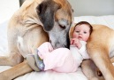 Funny babies and puppies