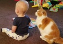 Funny Babies & Cats Moments Please Like Cute Cat Page