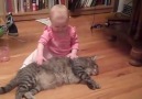 Funny baby and cat