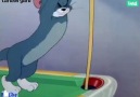 Funny Cartoon Tom And Jerry