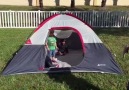 Funny Kids Fall Out Of Tent