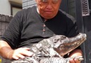 Funny Videos - Man lives with pet alligator for 34 years! Facebook