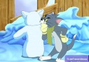 Funny Videos - Tom and Jerry Show Snow Brawl Facebook