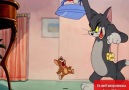 Funny Videos - Tom and Jerry Show The Invisible Mouse Facebook