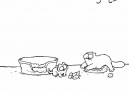 Furever a cat person! Hope you are having a great (Click for Sound)