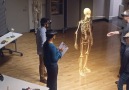 Future doctors could be taught with holograms
