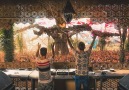 Future Frequency @ OZORA festival 2015 full video