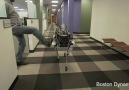 Future of robotics - Boston Dynamics.
