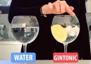 9GAG - Gintonic vs Water by theginaddict