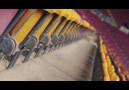 Galatasaray Ailesi -