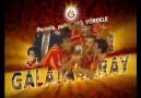 Galatasray Aslanı Kızdırma..