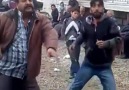 Gangnam Style'ın Yozgat'ta bıraktığı Bonzai Etkisi