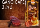 Gano Cafe 3&1 Kullanım Gereksinimleri ve Faydaları...