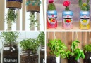 10 Garden Hacks For People Who Dont Have A Garden