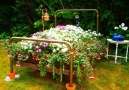 Gardening ideas with recycled items