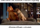 Garfield ve Köbok Horon Oynayler