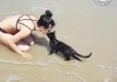 Gatos com esprito canino