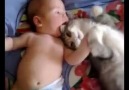 Gato y bebe