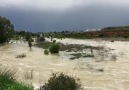 gazetda.com - Son DakikaGüzelyurt barajı taştı