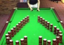 Gazete Haber7 - Bilardo topu ile müthiş hareketler