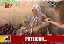 Gaziantep'de Kurutmalık Balcan