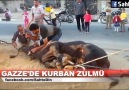 Gazze'de Kurban Zulmü (siyonist israillileri aratmıyor)