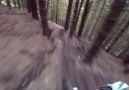 Gee Atherton Hardlines POV Run