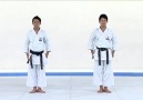 GEKISAI 2 - Kata&bunkai