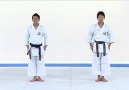 GEKISAI 1 KATA&BUNKAI