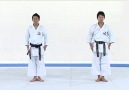 GEKISAI 1 KATA&BUNKAI