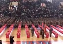 Geliyorlar..Şu aslanlara bir bakın..