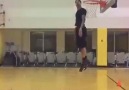 Gerald Green INSANE Vertical Leap!