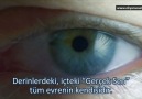 Gerçek Sen!!