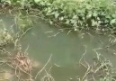 Gerçekten Şok oldum yok artık